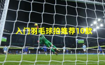  入门羽毛球拍推荐10款