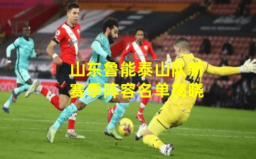 山东鲁能泰山队新赛季阵容名单揭晓