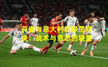 丹麦与意大利的绿茵对决：战术与意志的较量