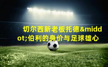 切尔西新老板托德·伯利的身价与足球雄心